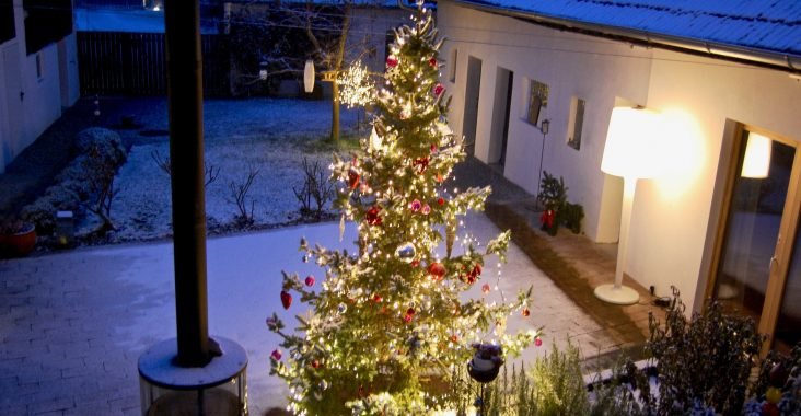 Weihnachtsbaum im Innenhof