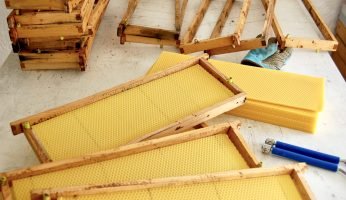 Bienenstock-Mittelwände bereitmachen