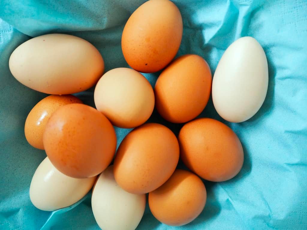 … und der Osterhase freut sich hoffentlich über die Eiervielfalt 