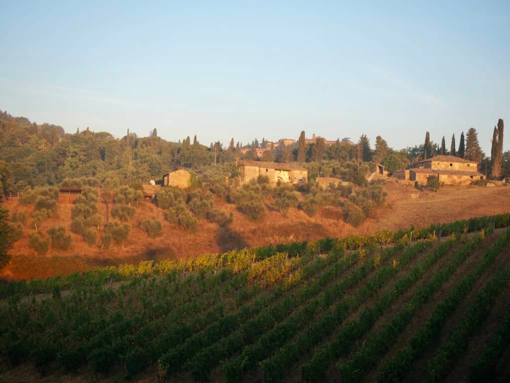 Weinberge in der Toscana