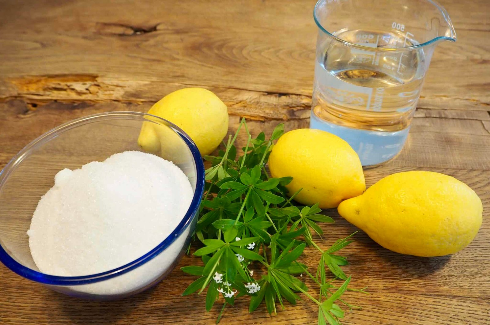 Waldmeister-Sirup selber machen: Einfaches Rezept - Torftrottel