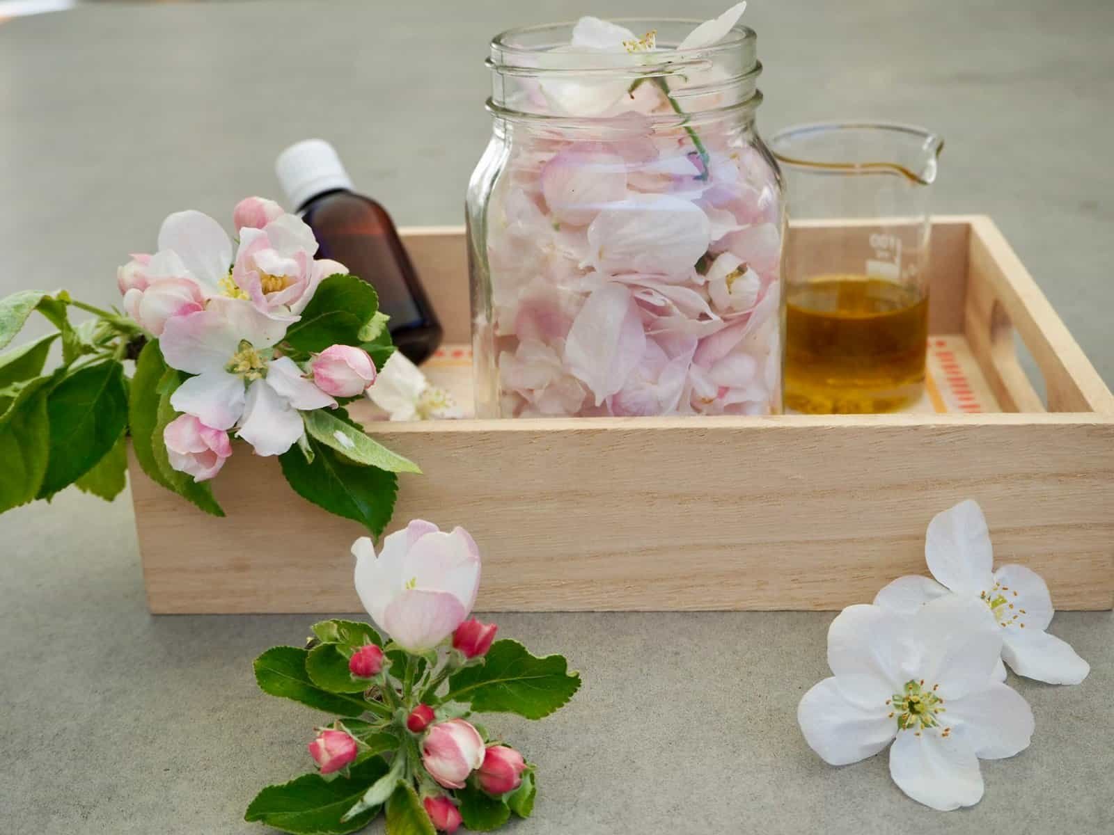 Zutaten für Hautpflegeöl mit Apfelblüten